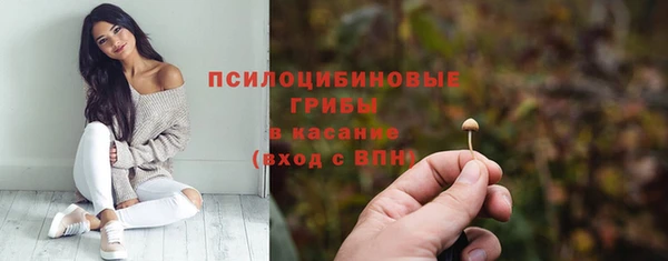 дмт Абаза