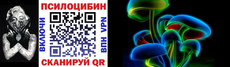 даркнет Telegram  Северская  Псилоцибиновые грибы GOLDEN TEACHER 